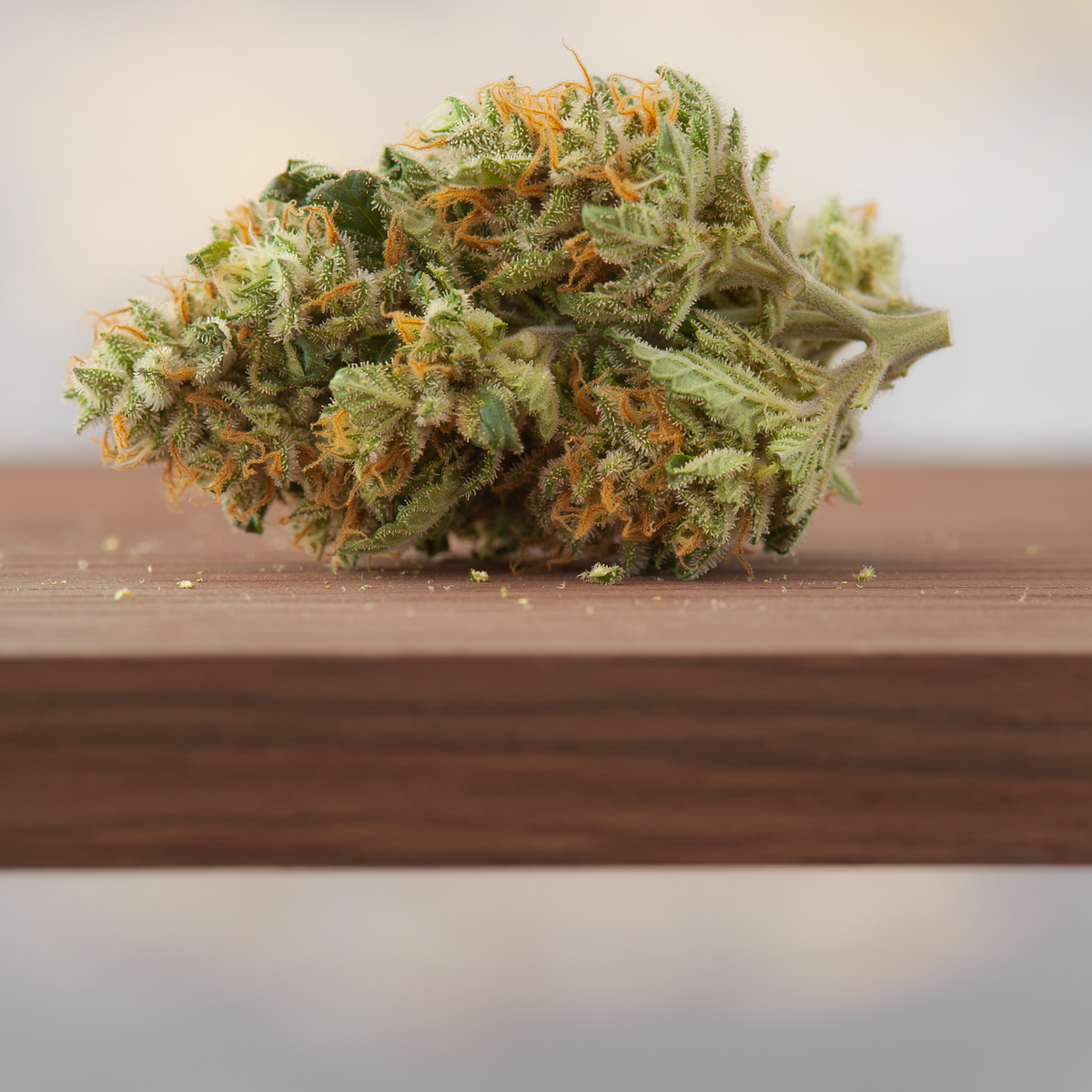 Why Your Herb Grinder Keeps Getting Stuck | Odin Grinders